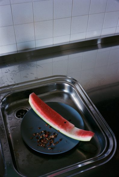 nicolo carlon cosmo domestico 6