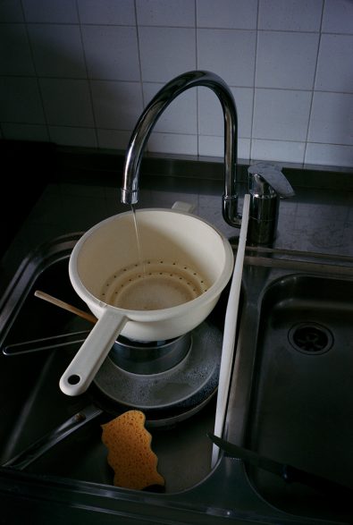 nicolo carlon cosmo domestico 8