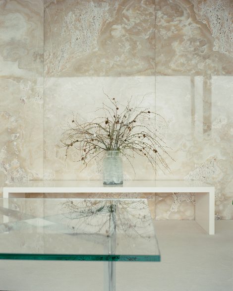 nicolo carlon villa tugendhat 6